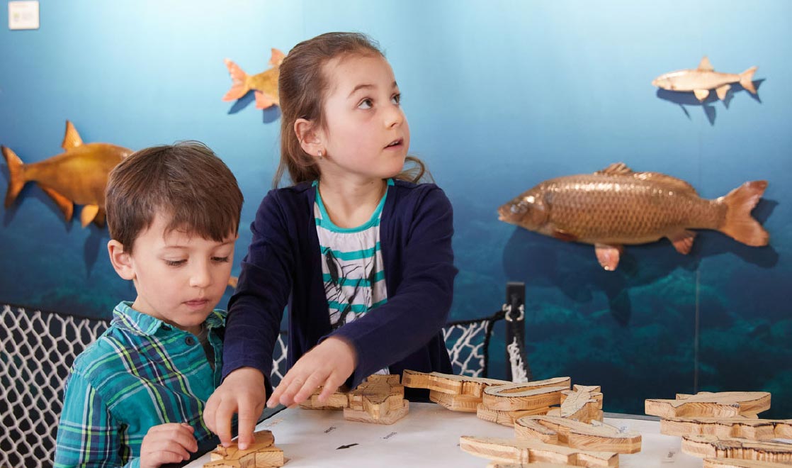 Fischereimuseum Langenargen - Ausstellungsgestaltung